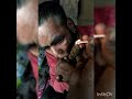 50 Gram Ganja In One Chilim Loaded ЁЯШН Look How Amazing Weed Oldperson India Weedlover 50 Gram Ganja In One Chilim Loaded ЁЯШН Look How Amazing Weed Oldperson India Weedlover