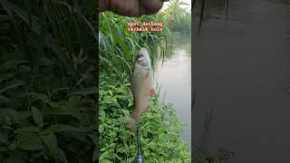 Spot Derbang Terbaik Area Kulonprogo