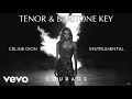 Celine Dion - Courage  - Male Karaoke Instrumental