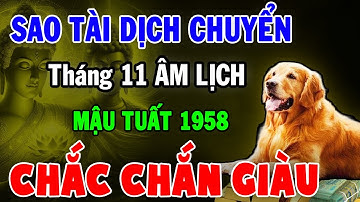 Tử Vi Tháng 11 Âm: Thần Tài Gọi Tên MẬU TUẤT 1958 - Cho Lộc Số Đỏ Ngày Mai Đổi Đời