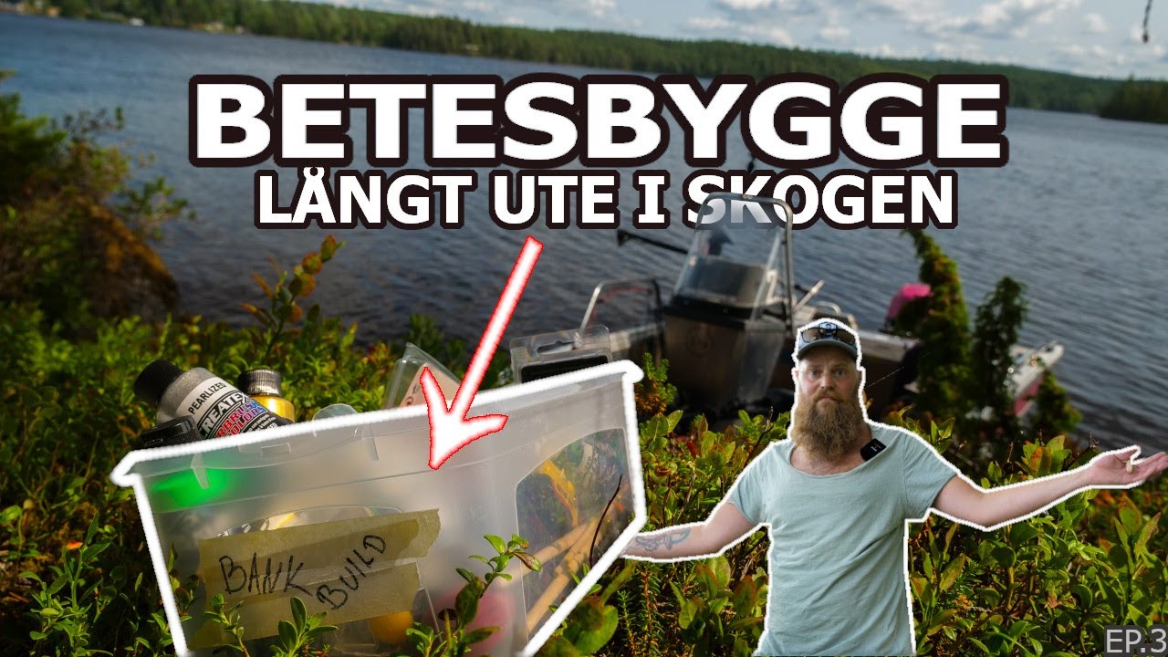 BETESBYGGE I BLÅBÄRS RISET?!