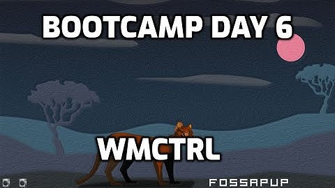 FP64bootcamp day 6, wmctrl customization in puppylinux, FP64.