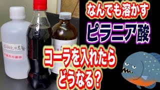 【最強の酸】ピラニア酸にコーラ入れたらどうなる？なんでも溶かす酸　#Shorts