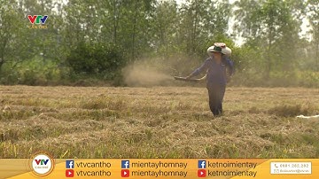 XỬ LÝ RƠM RẠ THEO HƯỚNG BỀN VỮNG