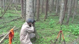 Bush Craft Inc.