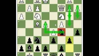 TeamMatch010