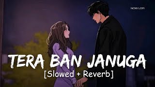 Tera Ban Jaunga (Slowed   Reverb) | Akhil Sachdeva, Tulsi Kumar | Kabir Singh | Now Lofi
