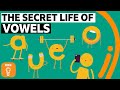 Understanding Vowels in the English Language