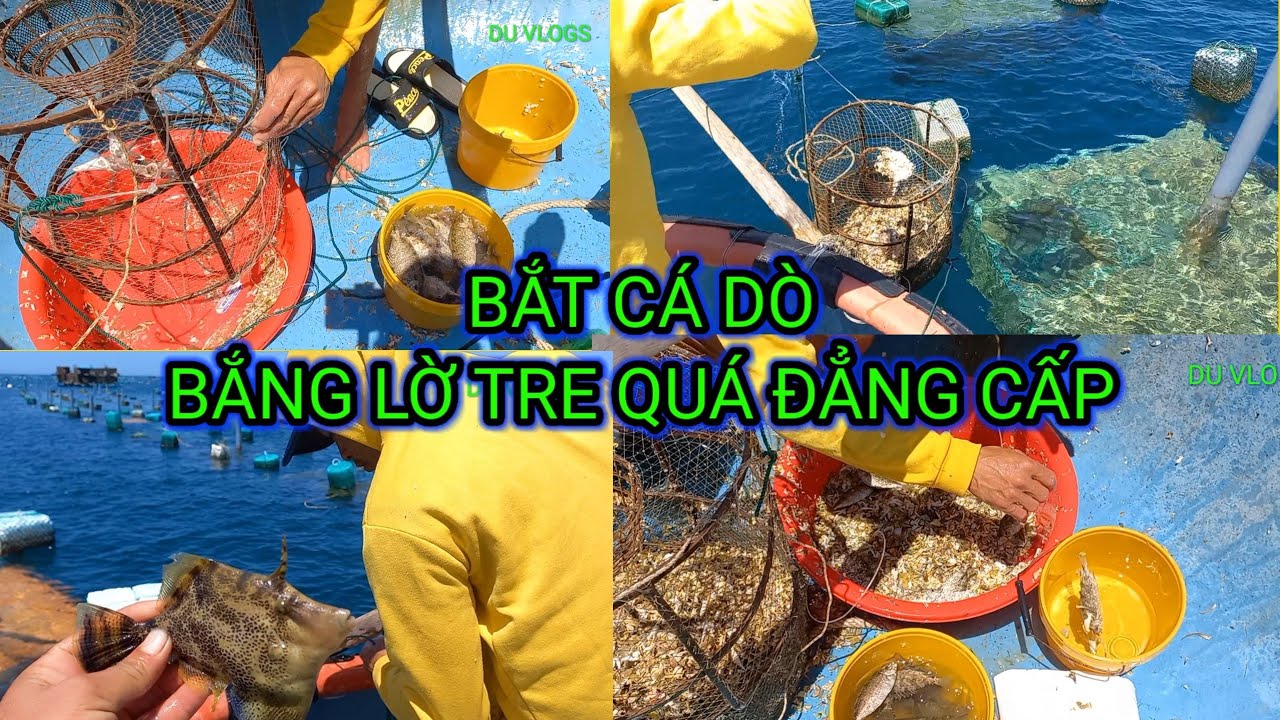 rivew cách dùng lờ tre bắt cá dò ,chuyên nghiệp của anh ngư dân|DU ...