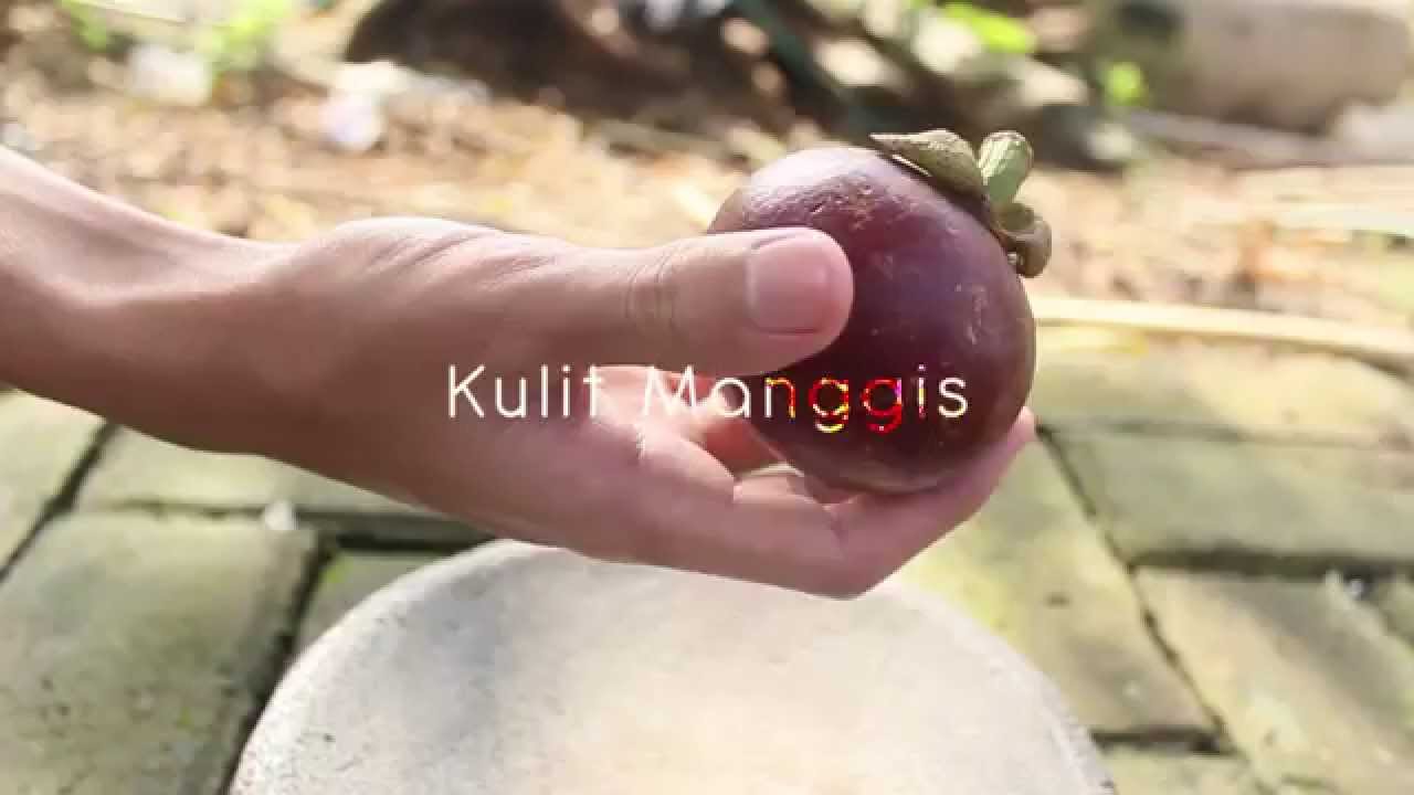 Indikator Alami Asam Basa (Kulit Manggis) 