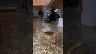 Just Gonna Stand There & Watch Me Burn?