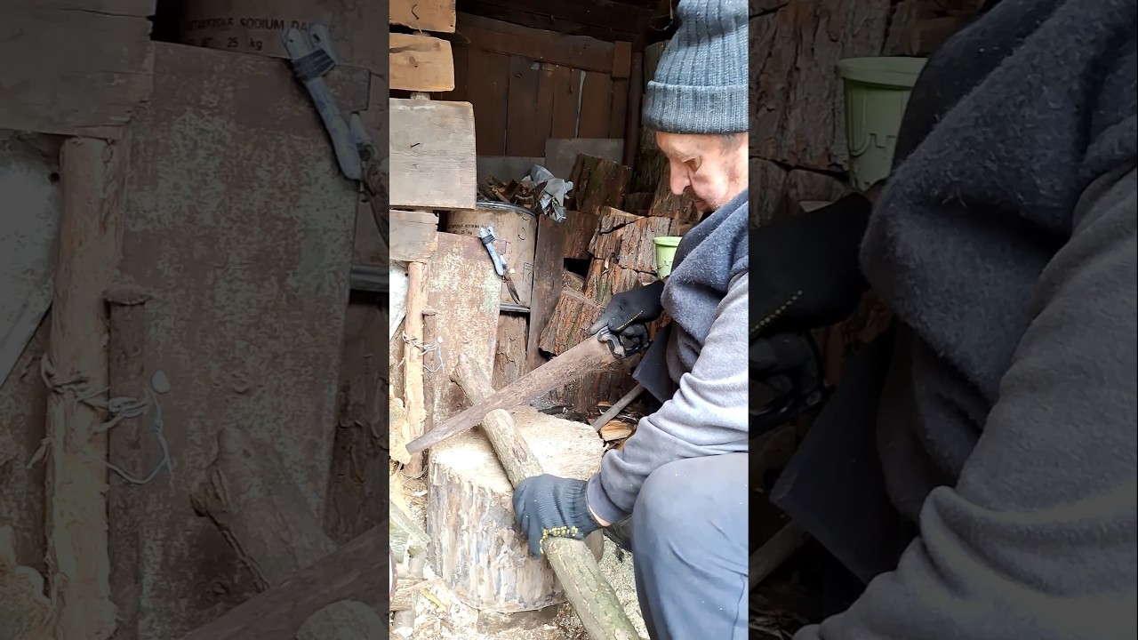 Cutting Firewood by Hand | Slow and Satisfying Sawing Process 