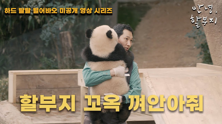 [안녕,할부지] 하드 탈탈 털어바오 미공개 영상 시리즈 10편 - 툥바오 품에 안긴 루이