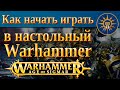 Как начать играть в настольный  Warhammer age of sigmar