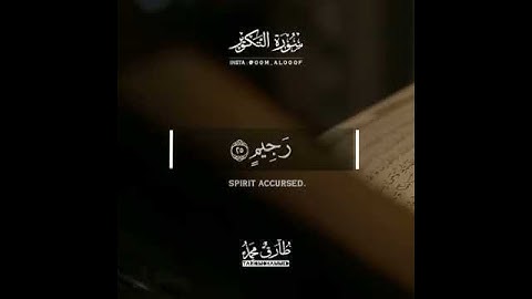 تلاوة تريح القلوب بصوت طارق محمد  🌸❤ حالات واتس اب قرآن 💭💗