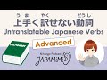 【一人語り】上手く訳せない動詞｜Untranslatable Japanese Verbs【Advanced】 #SoloPodcast #Japaneselistening