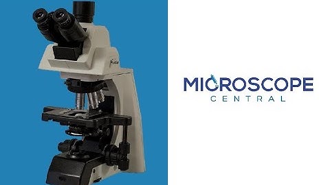 Accu-Scope EXC-500 Clinical Microscope Review (Comparable to Olympus BX/Nikon CI)