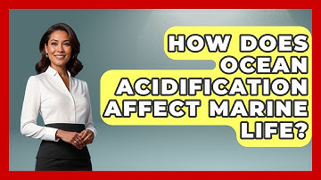 How Does Ocean Acidification Affect Marine Life? | The Marine Life Explorer