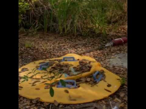 Заброшенный Диснейленд и - YouTube
