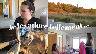 je les adore tellement...⎢vlog