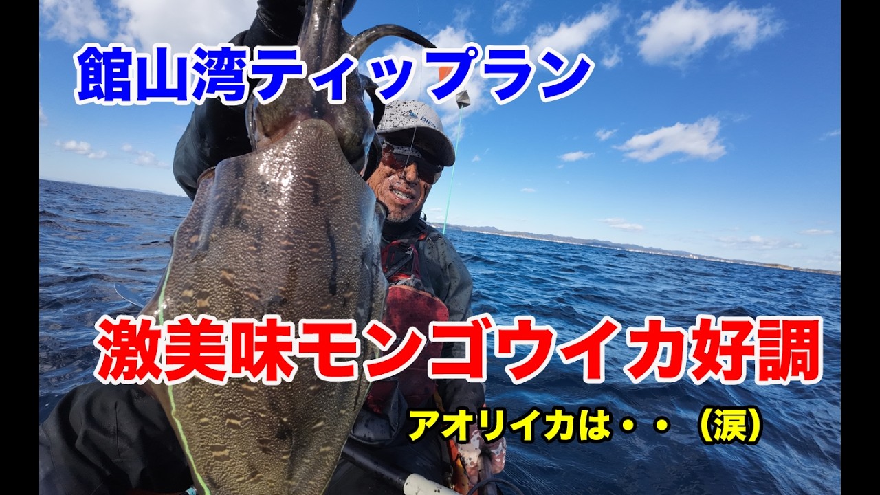 館山湾ティップラン、癒やしのモンゴウイカ（アオリイカは・・・涙）