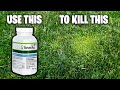 Tenacity herbicide  pre  post emergent  how to  application guide  kill crabgrass suppress poa