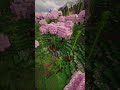 Минимально\Кайфово\Вайбово