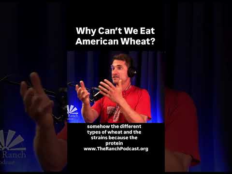 Why We Can’t Eat Wheat
