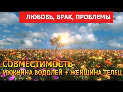 Совместимость мужчины Водолей и женщины Телец