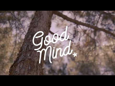 Anna Dukke- Good Mind