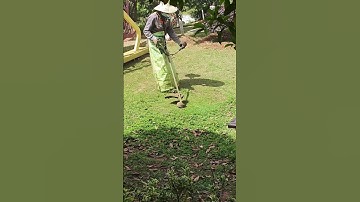 The process of removing weeds   good tools can increase work efficiency