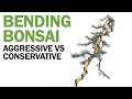 How to Bend Branches on a Bonsai Tree : Aggressive vs Conservative