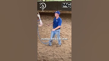 Intro to Liberty With Your Horse! Part 1! | The Horse Guru - Michael Gascon