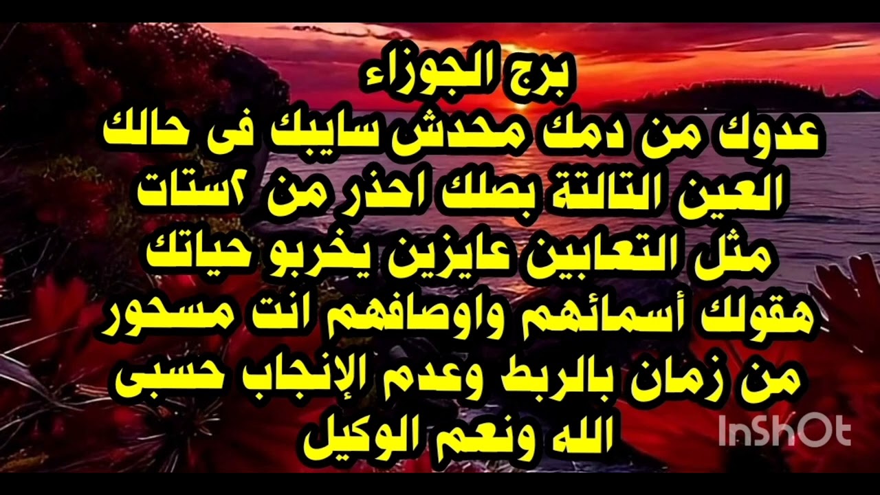 برج الجوزاء عدوك من دمك محدش سايبك فى حالك العين التالتة بصلك احذر من ٢ستات مثل التعابين 