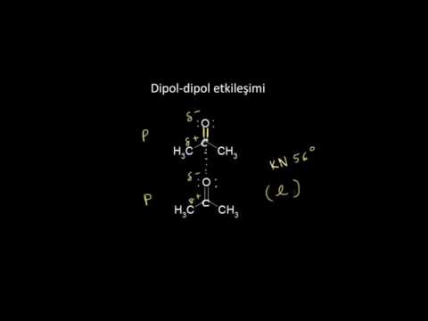 Moleküller Arası Etkileşimler (Biyoloji / Yaşam Kimyası) (Organik Kimya)