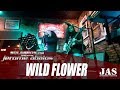 Wild Flower - The Cult (Cover) - Live At The Roadhouse