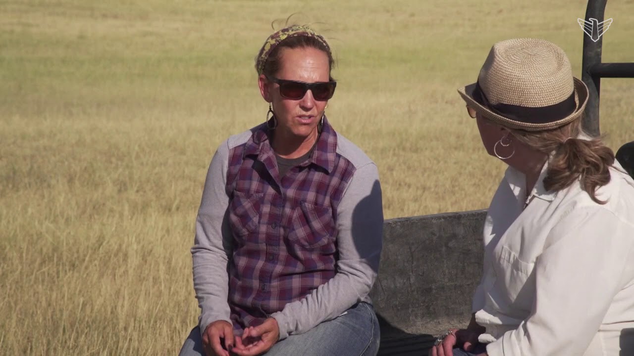 Come take a look around the 777 Ranch near Hermosa, South Dakota | Savor Dakota