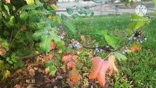 Isparta Fatih District