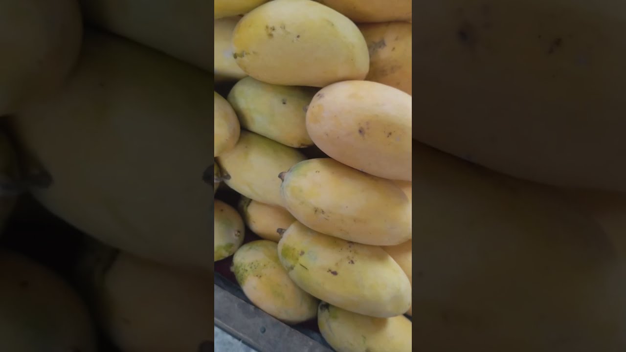White🥭Mango Chaunsa Fruits .