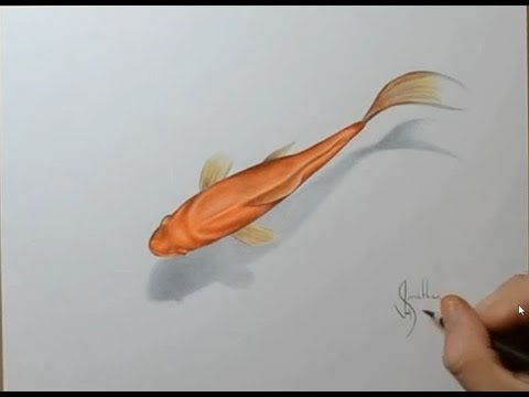 Ini Video Kelas Tiga 3 D Ada Mujahidin Youtube Ini Video Kelas Tiga 3 D Ada Mujahidin Youtube