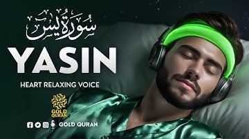 Peaceful Surah Yasin for Restful Nights, Low Mood, & Inner Peace ✦ Yaseen سورة يس ✦ Spiritual Lofi Q