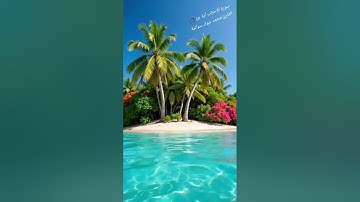 سورة الاحزاب-آية50: القارئ/محمد جواد سوالمة