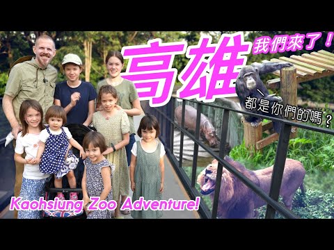 高雄，我們來了！跟我們一起逛壽山動物園+好吃的晚餐 A Most Pleasant Stroll Through the Kaohsiung Zoo + A Scrumptious Dinner!