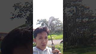 Download Lagu jedag jedug cah ngarit#shortvideo #jedagjedug #jogjakarta MP3 Download Lagu jedag jedug cah ngarit#shortvideo #jedagjedug #jogjakarta MP3
