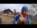 VLOG:ПРИШЛОСЬ ВСЁ ПЕРЕДЕЛАТЬ!🐓😲/НЕ ВСЁ ТАК ГЛАДКО🙄🏡/ГОЛОВА КРУГОМ ОТ ОБУЧЕНИЯ!🤯😤/ Семья Жуковых