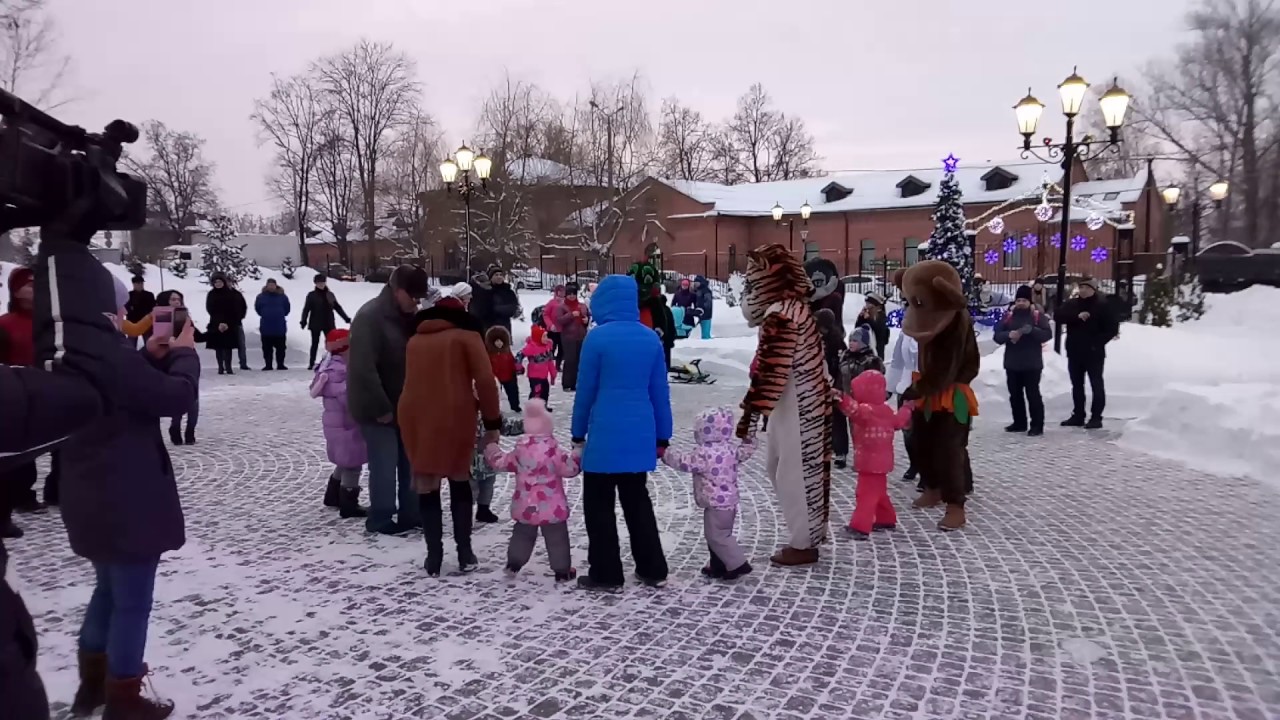 Платоновский парк зимой тула