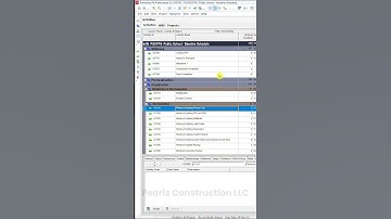 P6 Tips and Tricks | Activity Coding