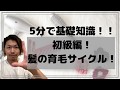 【初心者向け】髪の毛の育毛サイクルのお話【美容師ケミカル入門】
