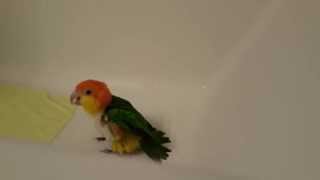 20151029 133040