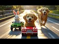 Golden Retriever Papa Cares for His Hurt Puppy 🐶💛 A Realistic Pet Family Story